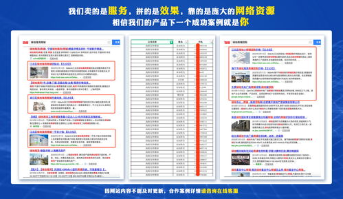 专业SEO优化推广软件服务机构的技术推广与软件开发策略